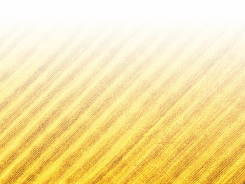 智能農(nóng)機(jī)、“訂單”服務(wù)、“云端”種菜——來(lái)自江西的春耕“新事”